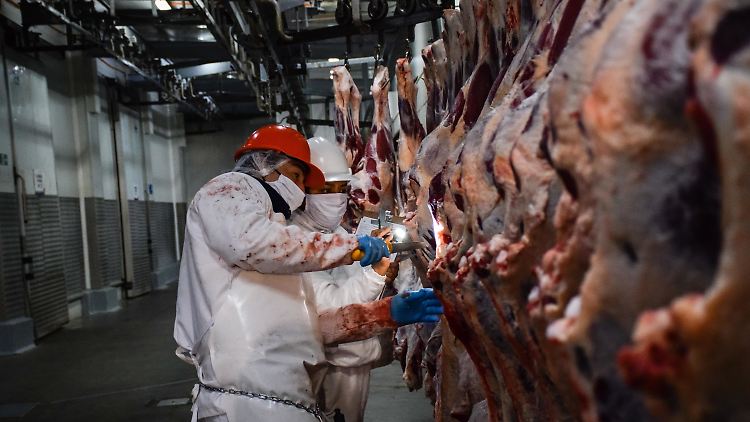 Deutsche Arbeiter verdienen mehrere Hundert Euro mehr im Monat als Werkvertragsbeschäftigte.