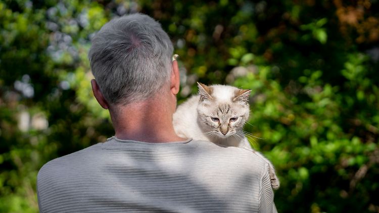 imago0101803167h (1).jpg