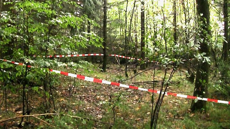 Die 26-jährige Maria Baumer war im Mai 2012 verschwunden. 16 Monate später fanden Pilzsammler ihr Skelett in einem Wald bei Regensburg.