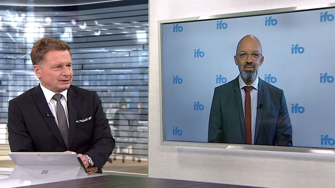 Ifo.JPG