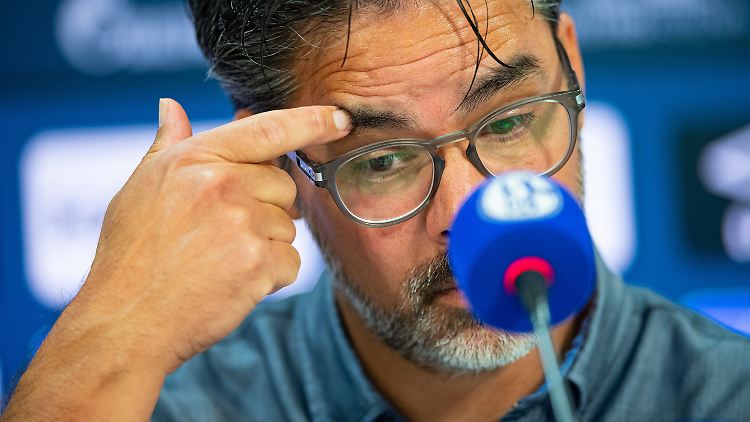 David Wagner hat beim FC Schalke 04 "viel zu tun". Aber wie viel Zeit bekommt er dafür?