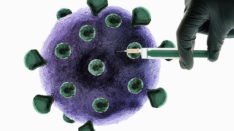Mit nur zwei Injektionen im Jahr könnte man das Virus zurückdrängen. 