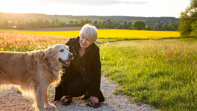 Hundejahre zählen anders als Menschenjahre.