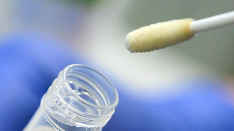 Die gesamte Mennoniten-Gemeinde soll auf Corona getestet werden. (Symbolbild)