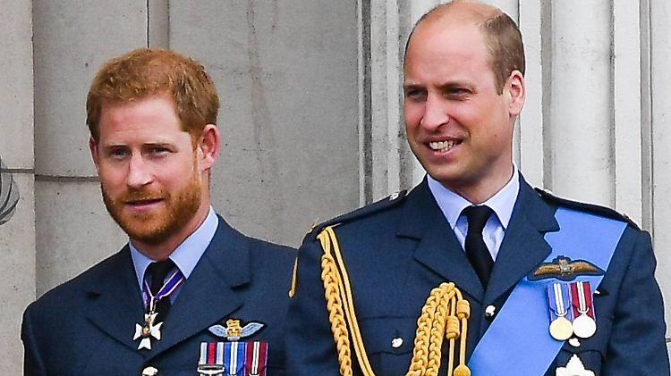 Gehen zumindest beruflich zusehends getrennte Wege: Prinz Harry (l.) und sein Bruder William.