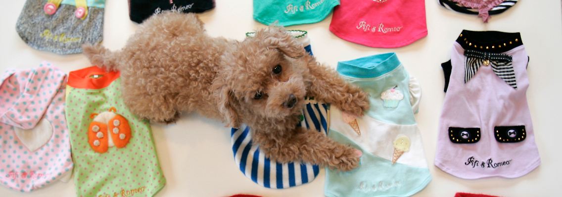 2007-08-26T120000Z_1664314173_GM1DVZYGICAA_RTRMADP_3_JAPAN-DOGS.JPG