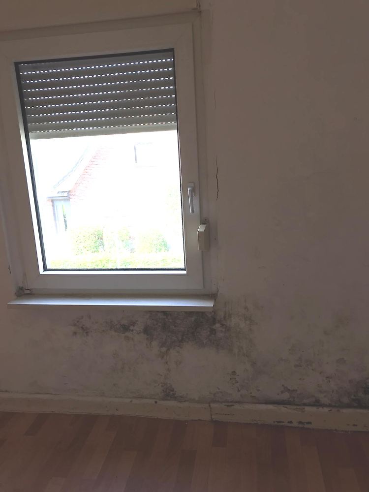 Die Politik ist auf die Lage aufmerksam geworden. Nun sollen sich die Bedingungen bessern.