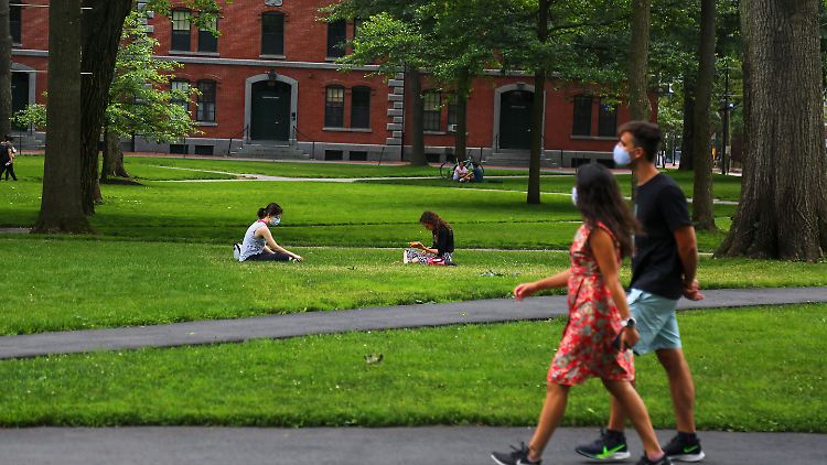 Auch Studierende der Elite-Universität Harvard sind betroffen.