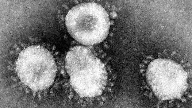 Eine Mikroskopaufnahme zeigt das Coronavirus.