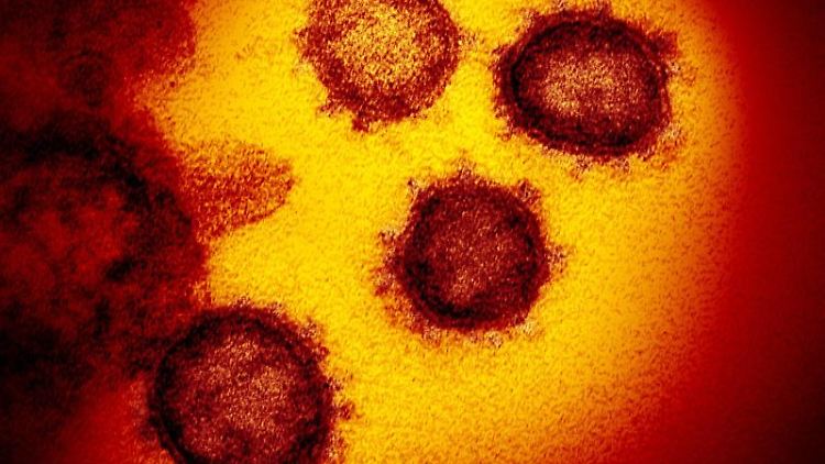 Allgegenwärtig und doch in vielerlei Hinsicht noch ein Rätsel: das Coronavirus Sars-CoV-2.