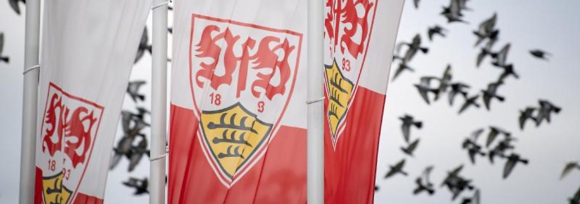 Flaggen mit dem Logo des VfB Stuttgart wehen auf dem Trainingsgelände. Foto: Fabian Sommer/dpa/Archivbild