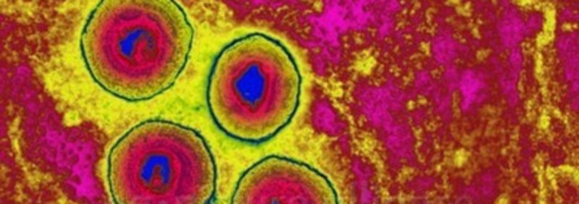 HPV.jpg