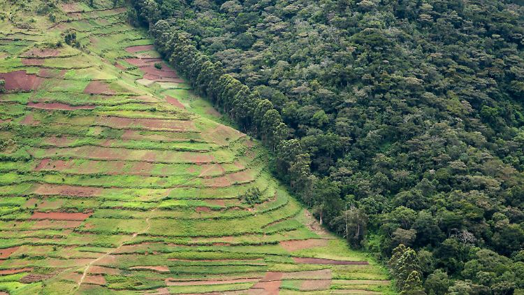Das Luftbild zeigt Ackerflächen rund um einen Nationalpark in Uganda.