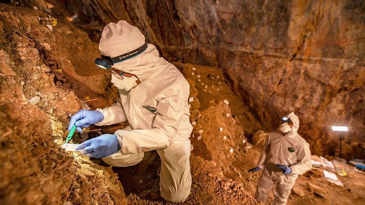 Die Forscher stießen bereits 2012 auf die Höhle.