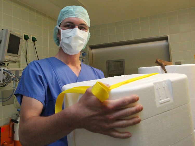 Mitarbeiter der Deutschen Stiftung Organspende (DSO) mit einer Kühlbox für Spenderorgane.