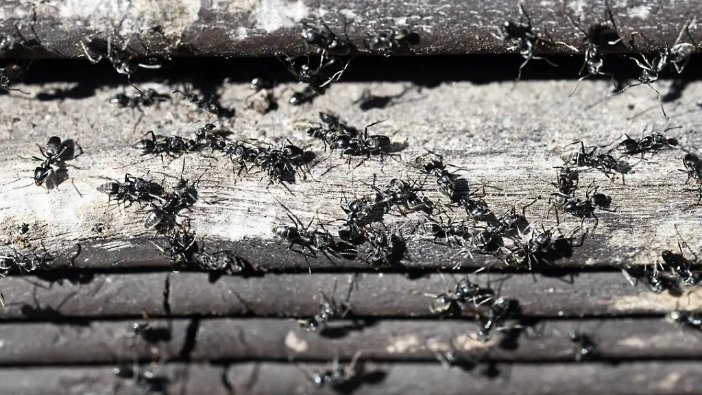 30ecb9c6564f0b2aee977d82fae386f1