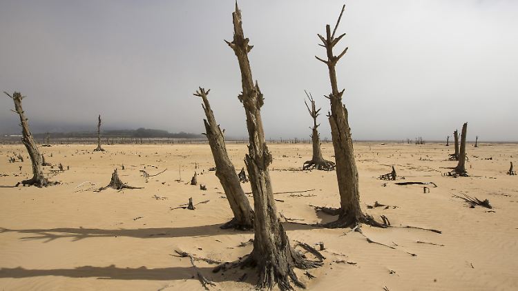 Dürren, wie hier im vergangenen Jahr in Südafrika, könnten künftig Koflikte um Wasser provozieren.