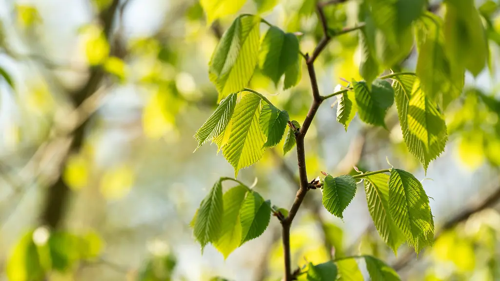 Am-Wochenende-bleibt-es-zunaechst-noch-sonnig-und-warm