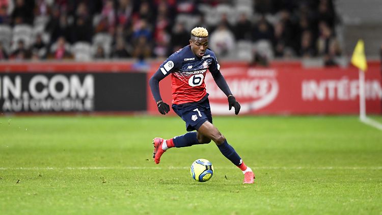 In Lille zeigte Osimhen, dass der VfL Wolfsburg wohl etwas zu ungeduldig war.
