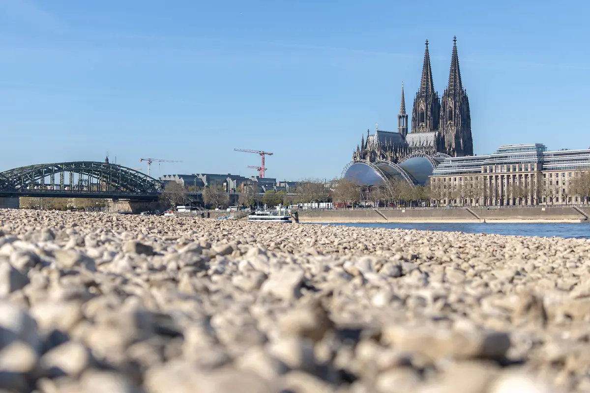 5d53c30b2781e75fbf47feda10beca93