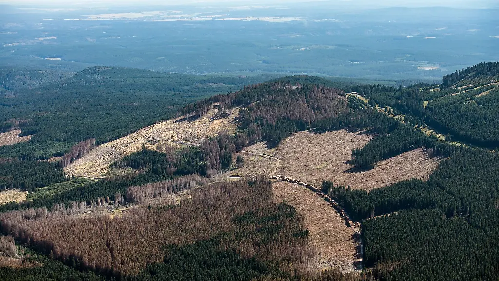 Am-westlichen-Harzrand-soll-nach-den-Rohstoffen-gesucht-werden-Archivbild