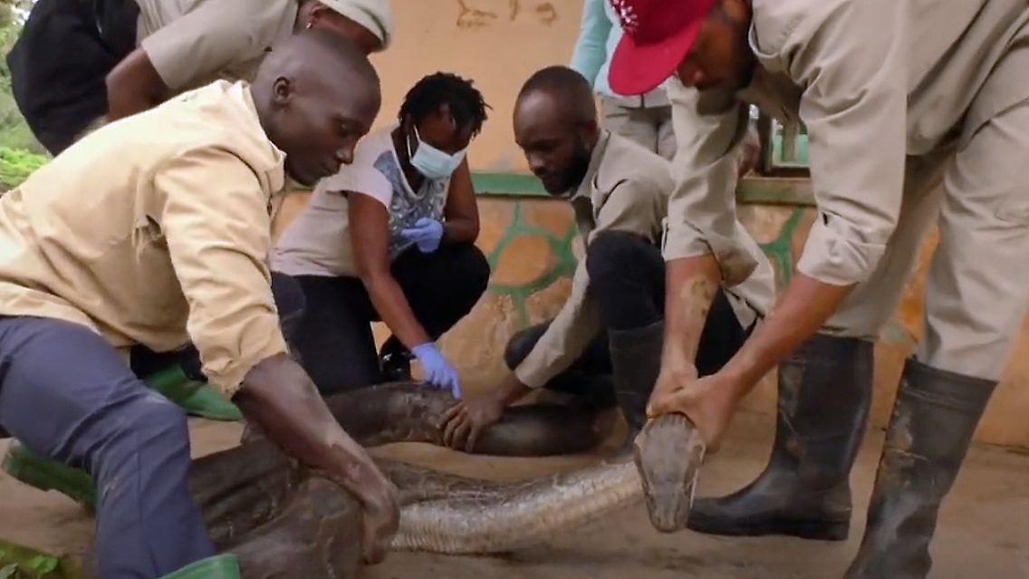 schlangencamp in uganda.jpg