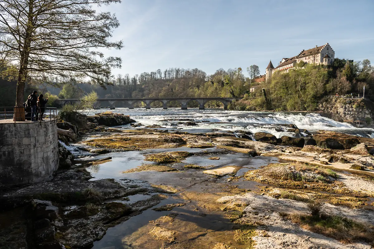 6f1f592639ca9dbdc23ccbc56af9b6b5