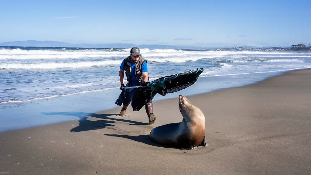 GettyImages-2208842894