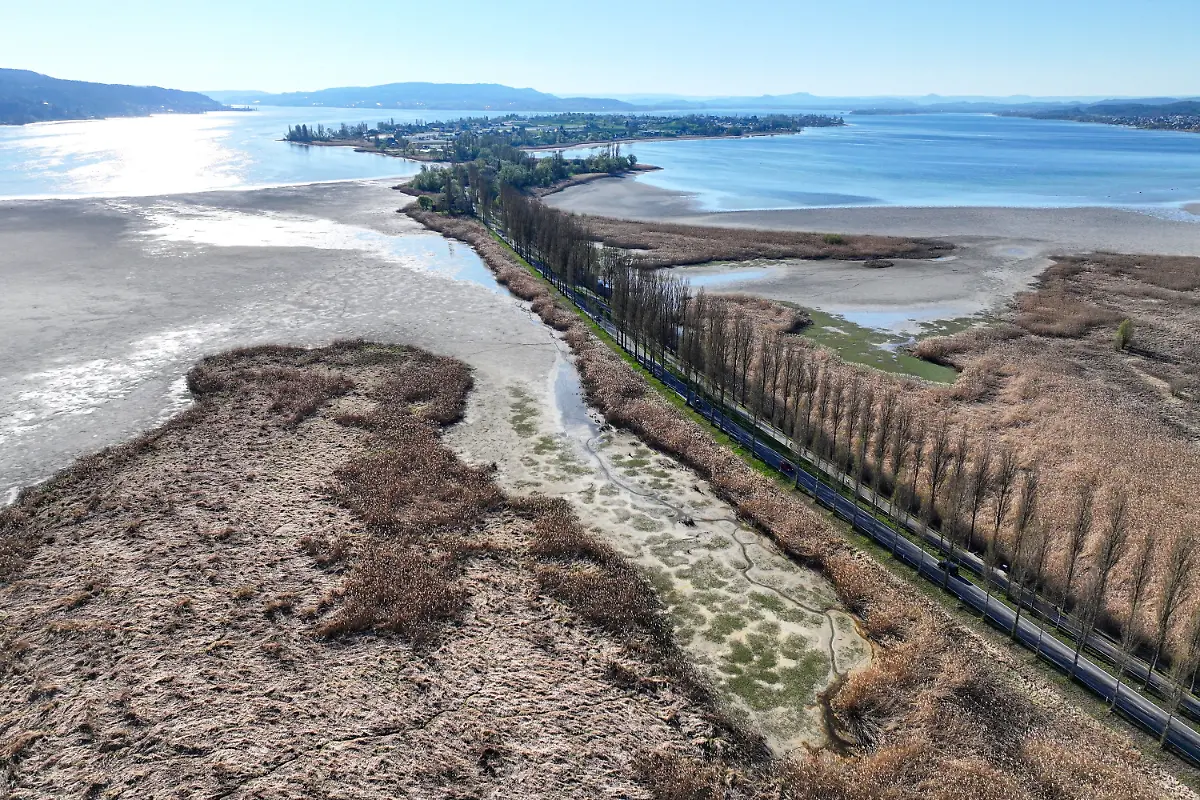 08043afd585b523b588298c18f98f89d