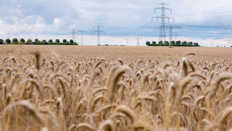 Netzanbieter drücken beim 5G-Netzausbau aufs Tempo.
