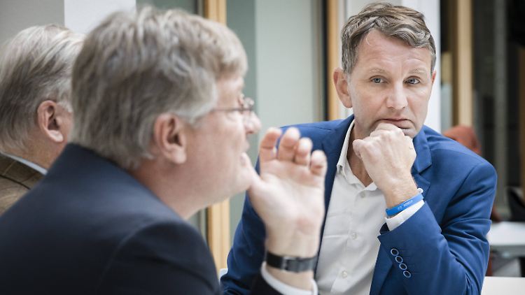 AfD-Chef Meuthen (l.) und Björn Höcke hatten bereits in der Vergangenheit ihre Differenzen.