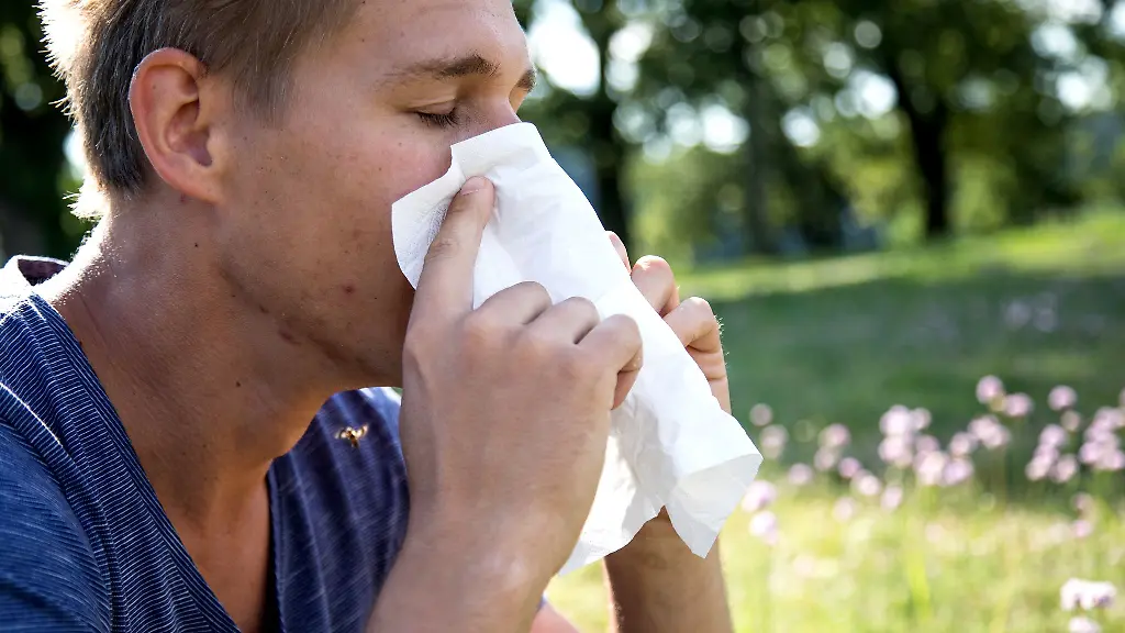 Heuschnupfen-ist-mehr-als-laestig-Bei-starken-Symptomen-kann-auch-eine-Krankschreibung-gerechtfertigt-sein