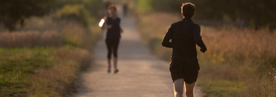 Jogger laufen auf einem Feldweg. Foto: Sebastian Gollnow/dpa/Archivbild