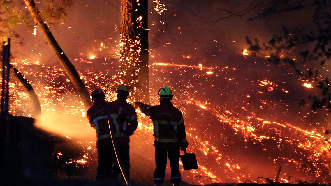 Der Waldbrand hat schwere Schäden angerichtet.