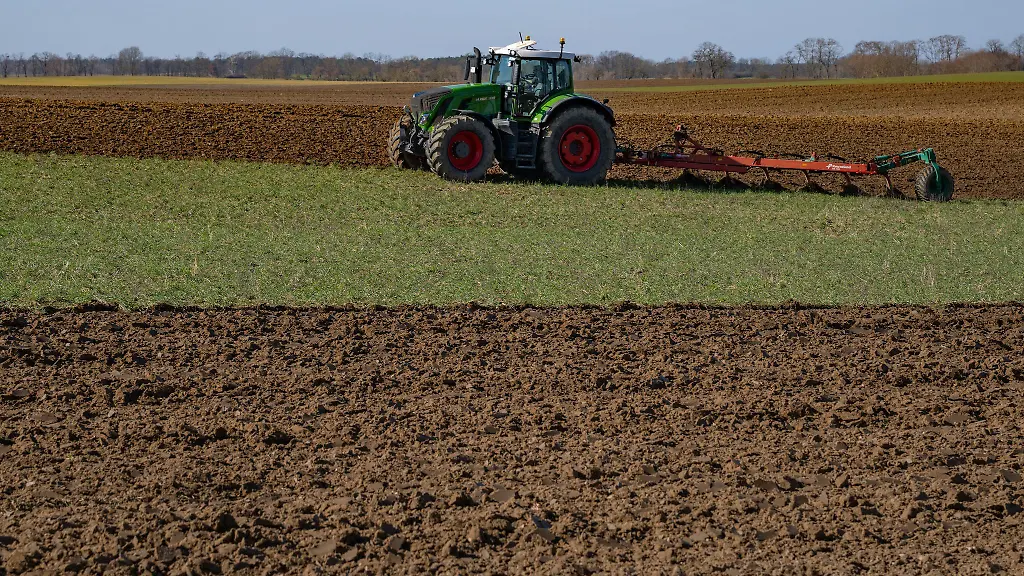 In-Brandenburg-sind-die-Boeden-besonders-sandig-und-von-Trockenheit-gepraegt-Landwirte-wuenschen-sich-in-den-kommenden-Tagen-vor-allem-Regen