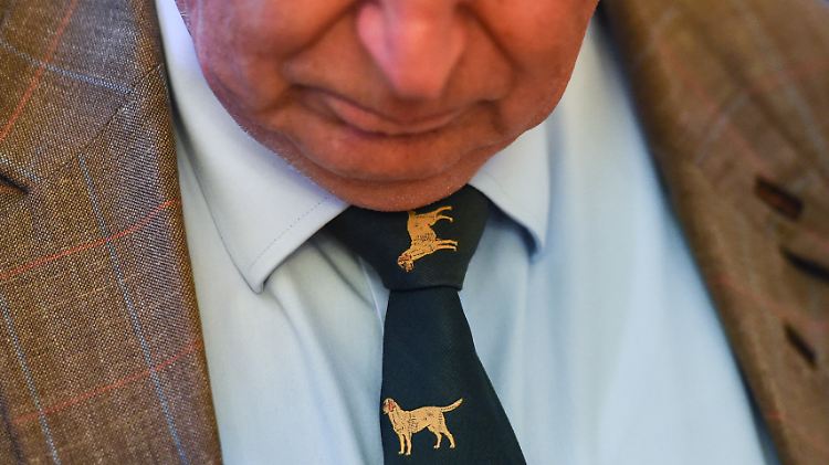 Die Dackelkrawatte ist das Markenzeichen von AfD-Fraktionschef Alexander Gauland.