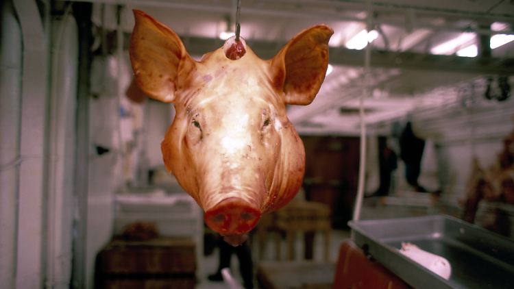 Hier in einer Markthalle und nicht vor den Türen russischer Kremlfreunde: ein abgetrennter Schweinekopf