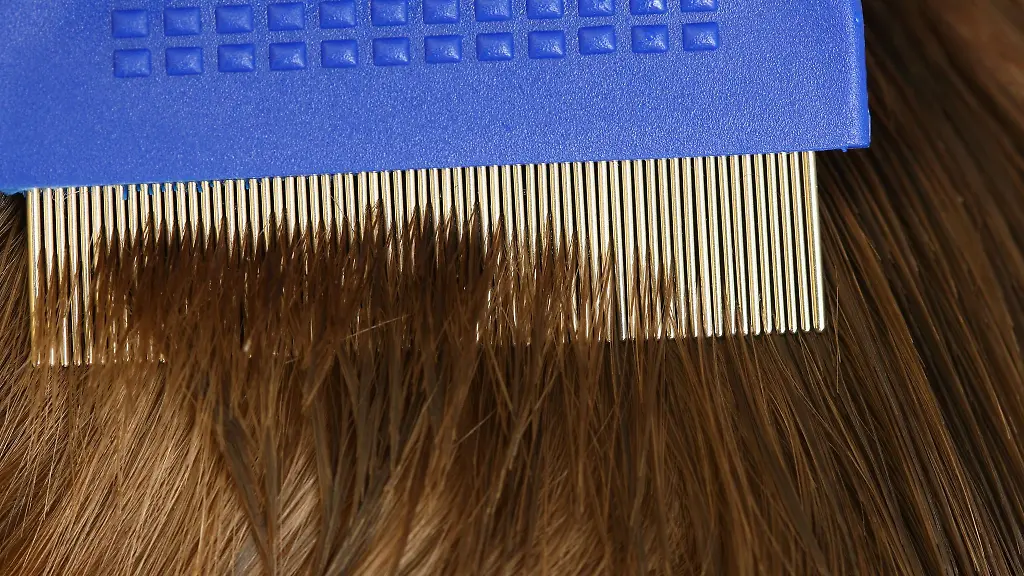 Die-Verschreibungen-von-Anti-Laeusemitteln-steigen-laut-AOK-weiter