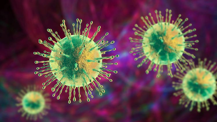 Die Fähigkeit, an der menschlichen Zelle anzudocken, ist eines der älteren genetisch bedingten Merkmale vieler verschiedener Coronaviren..