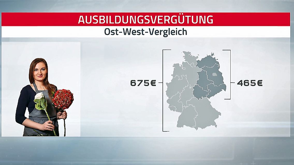 azubi-gehälter.jpg