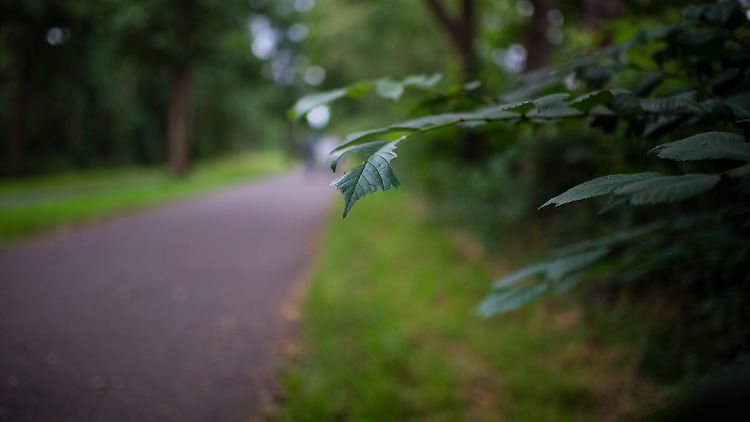 Warum sich der Mann jahrelang im Wald versteckte, ist noch unklar.