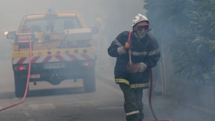 Mehr als 1000 Hektar Nadelwald gingen in Flammen auf.