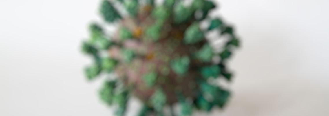 3D_Coronavirus beschnitten unscharf.jpg