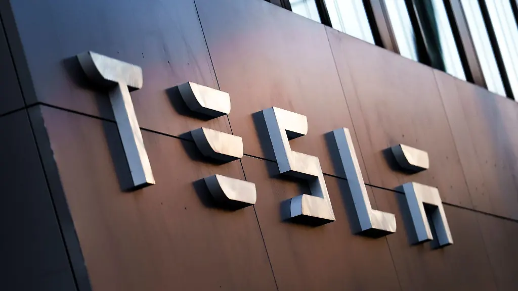 Sieben-Aktivisten-haben-mit-Plakaten-und-Spruehfarbe-gegen-Tesla-in-Oldenburg-protestiert