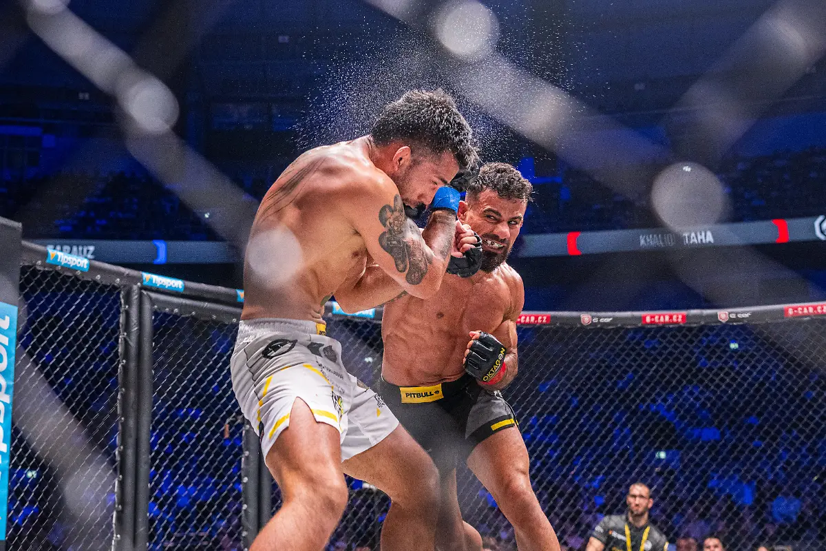 20250405225659-PD1588315883