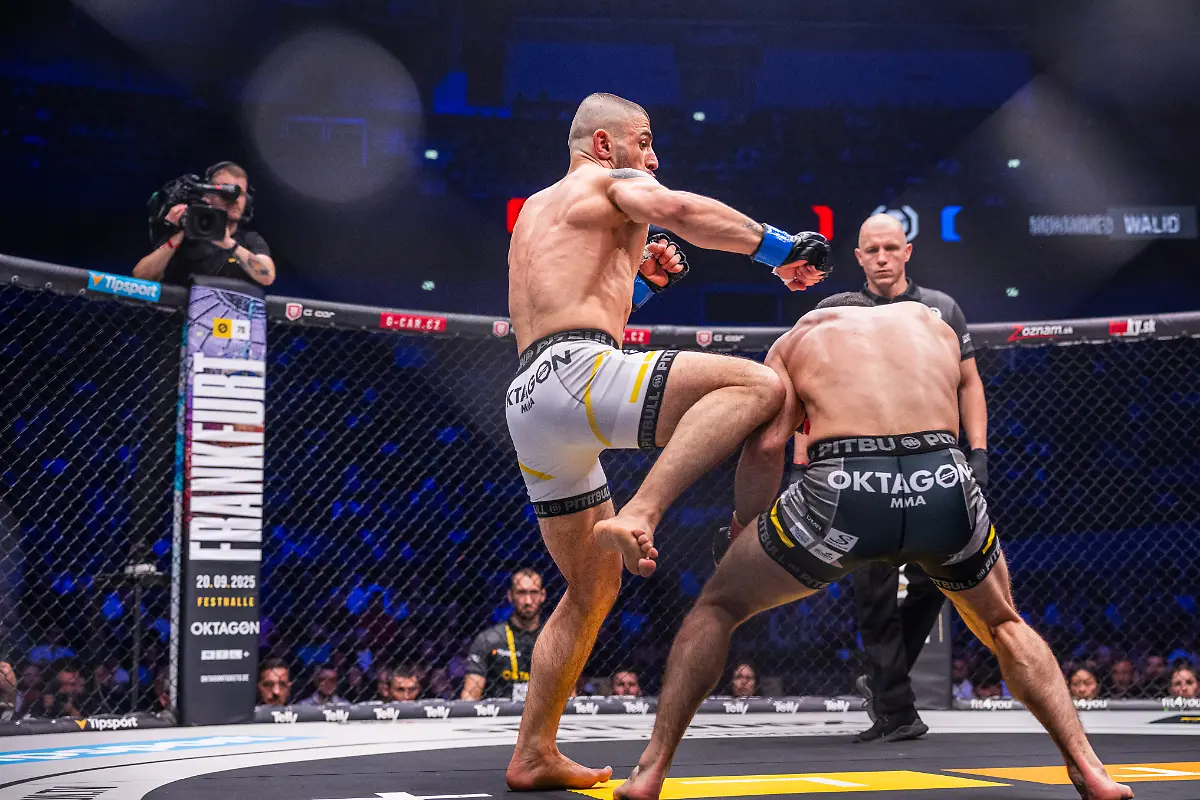 20250405183551-PD1164911649