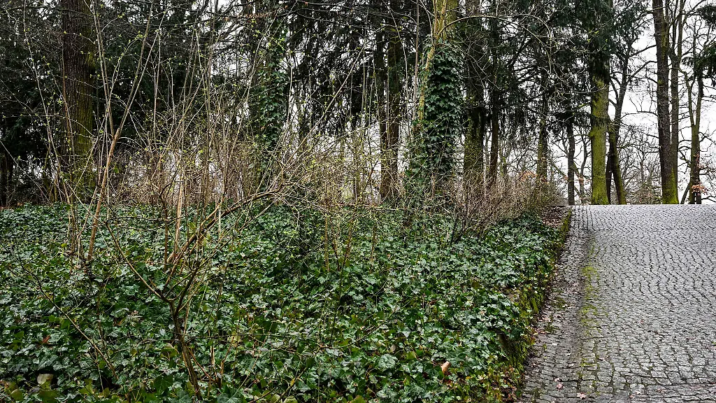 In-der-Hasenheide-soll-ein-Mann-eine-Frau-und-ihre-zwei-Kleinkinder-beleidigt-haben