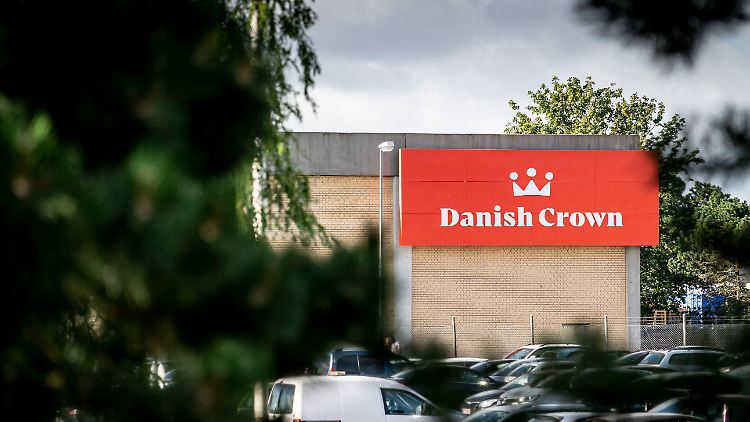 Bei Danish Crown in Ringsted werden Schweine geschlachtet. 