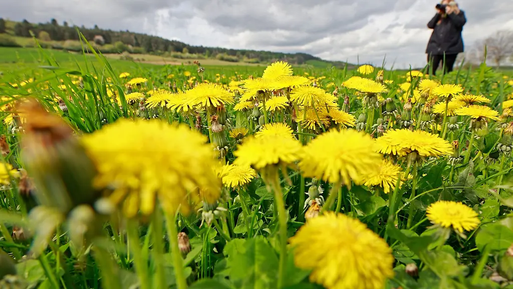 Nach-einem-kuehlen-frostigen-Wochenende-erwarten-Meteorologen-fuer-die-neue-Woche-langsam-steigende-Temperaturen-Sonne-und-Wolken