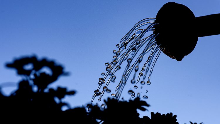 Blumengießen wird schwierig.